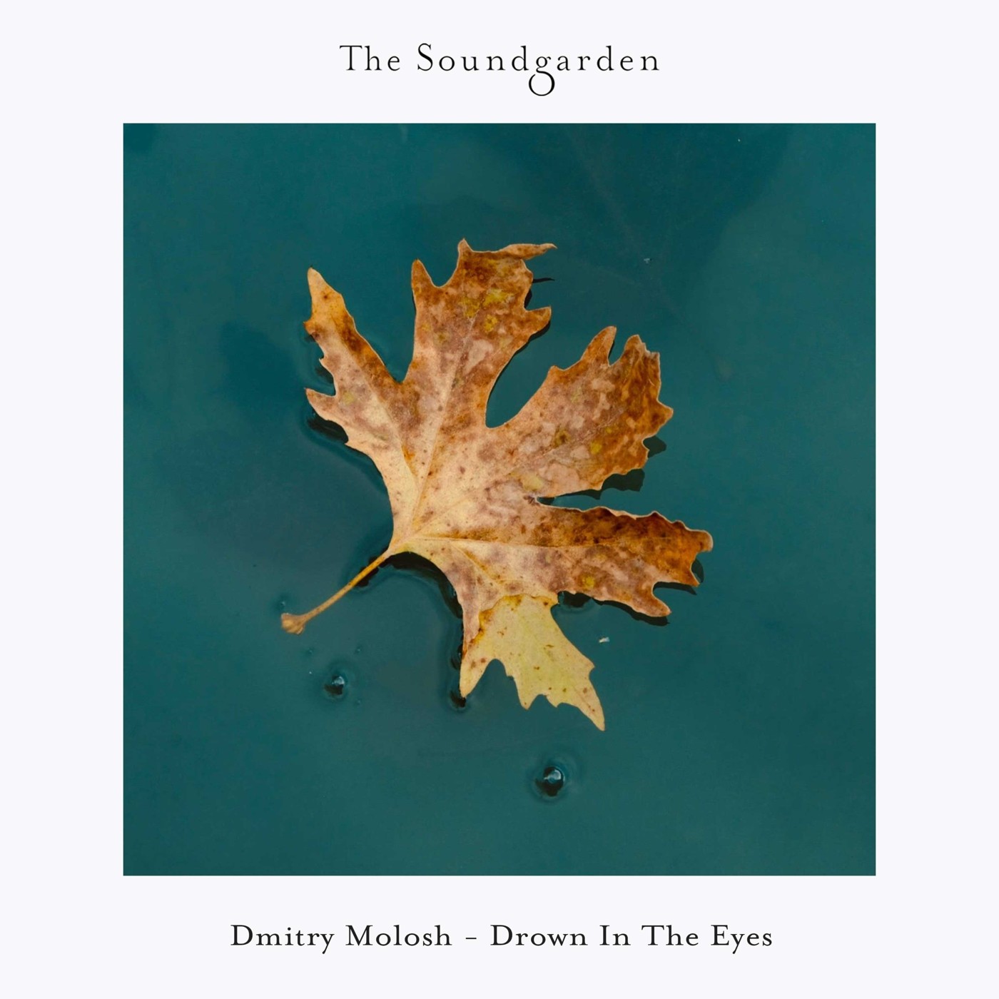 Dmitry Molosh - Drown In The Eyes (Extended Mix) [The Soundgarden]