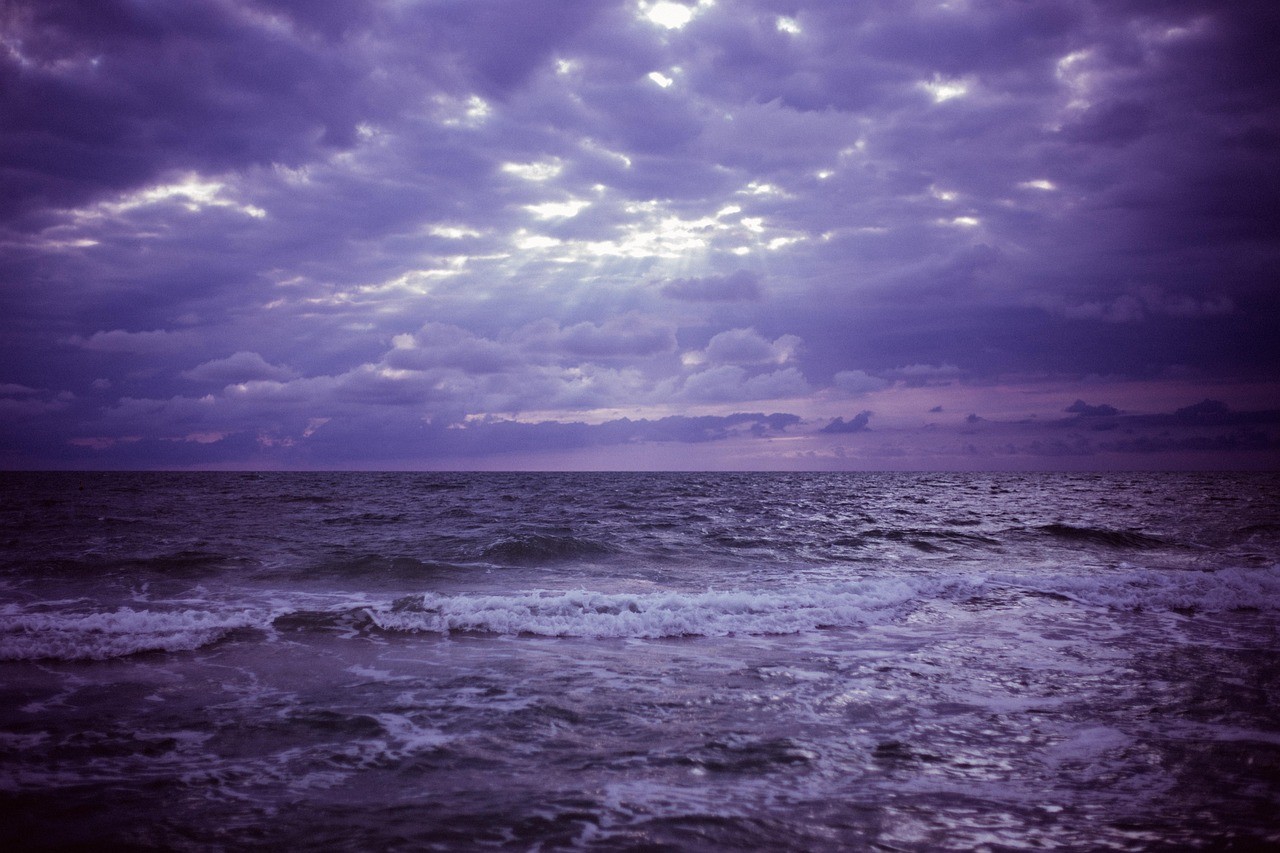 Ntr - Under the Purple Sky
