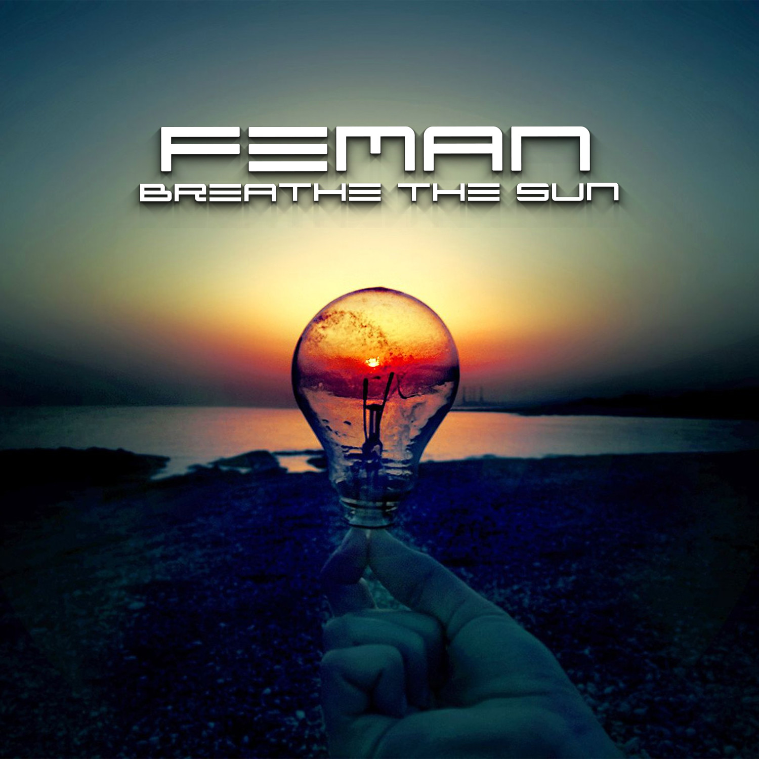FEMAN