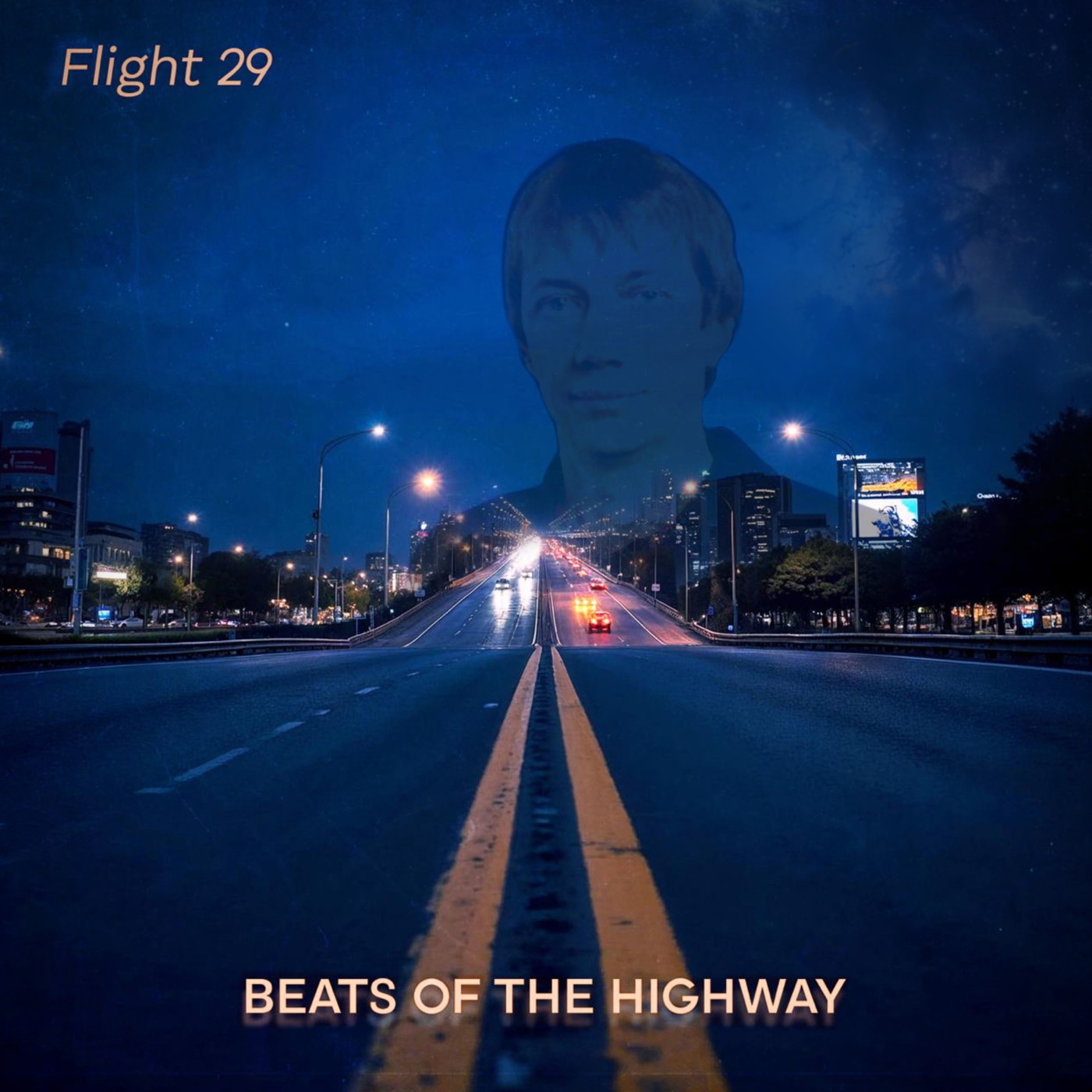 Flight 29