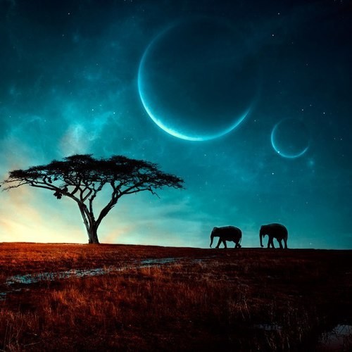 Nicky way - Two Moons episode artwork