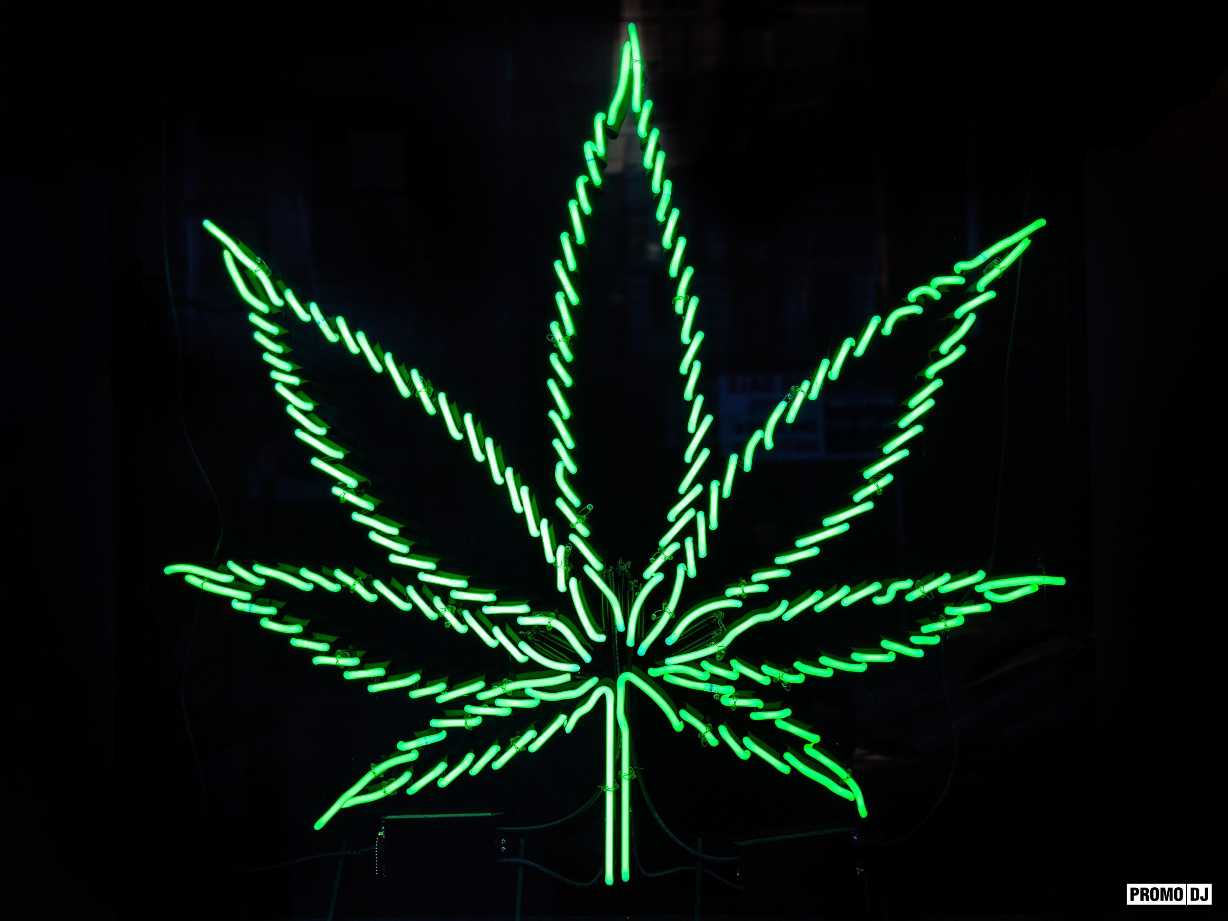 Neon leaves wallpaper. Канабис неон. Лист конопли неон. Неоновая марихуана. Неоновый лист конопли.