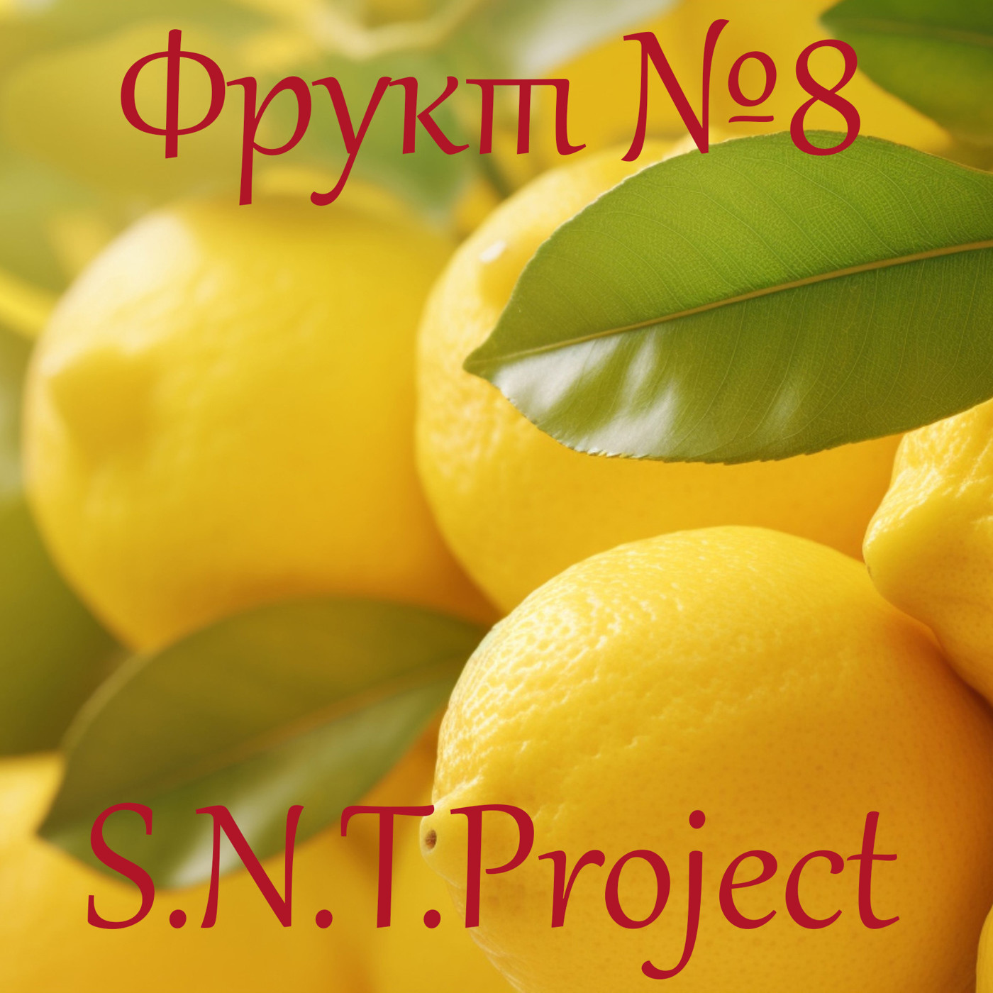 S.N.T.Project - Фрукт №8 episode artwork
