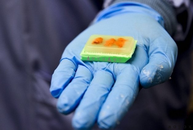 морок - АнтиДот морок - АнтиДот