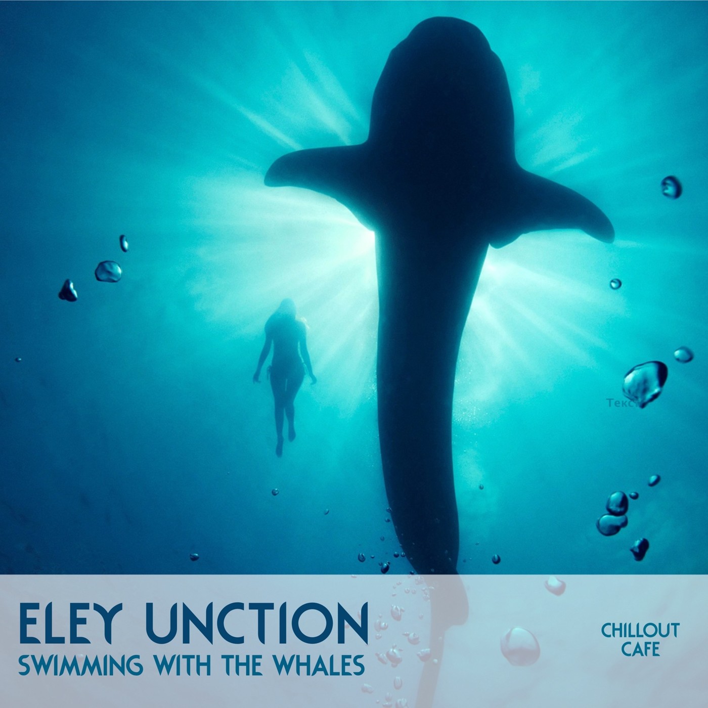 Eley Unction - Swimming With The Whales
