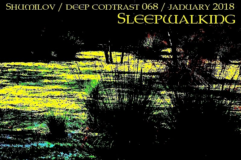Shumilov - Deep Contrast 068 Sleepwalking [January 2018] episode artwork