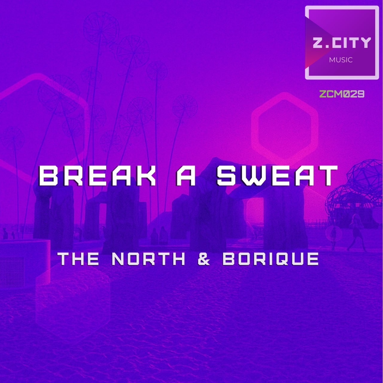 The North, BoriQue – Break a Sweat (Original Mix) ZCM029 episode artwork