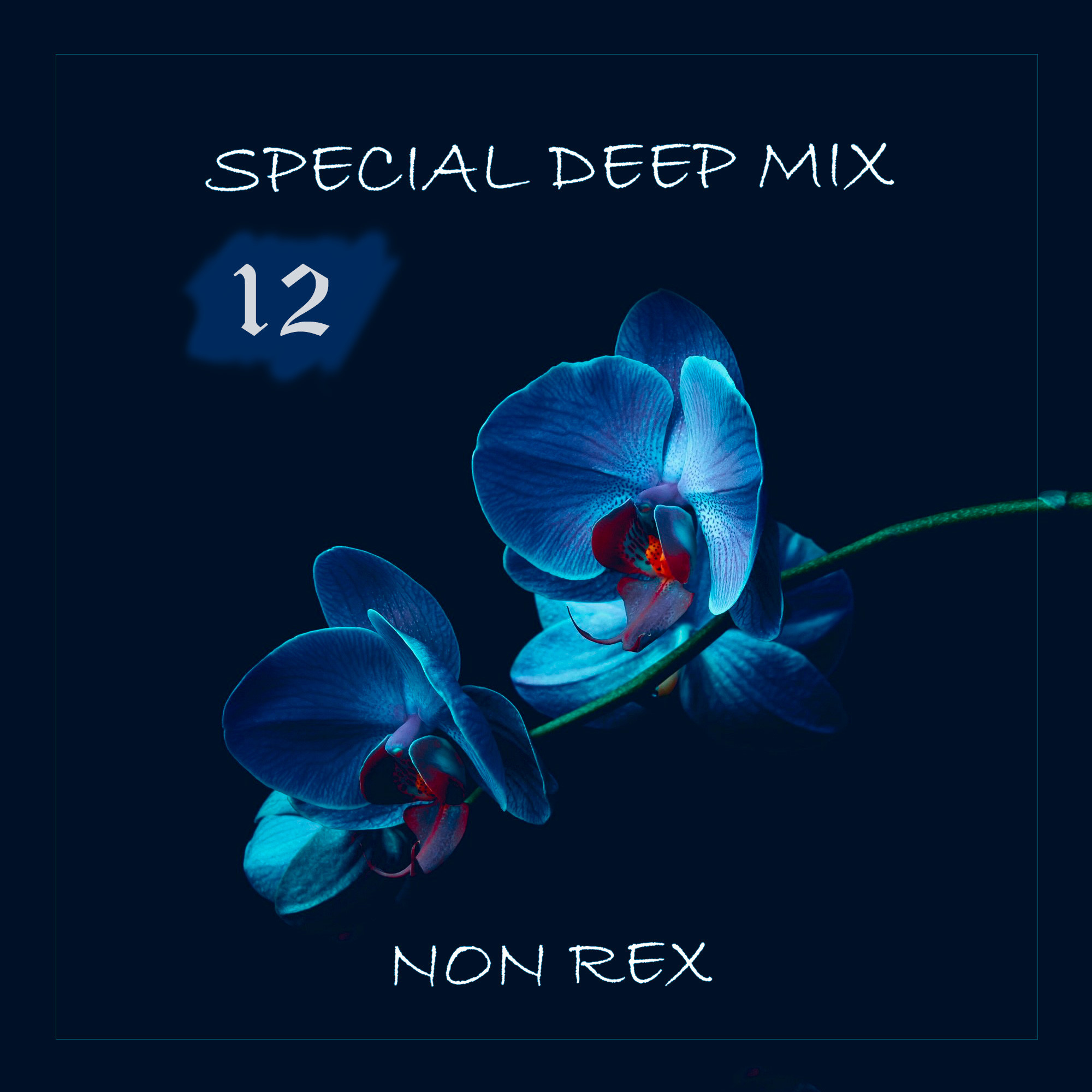 Non Rex - Special Deep Mix - 012 – DJ Non Rex