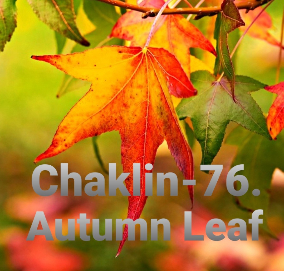 Chaklin-76. Autumn leaf episode artwork