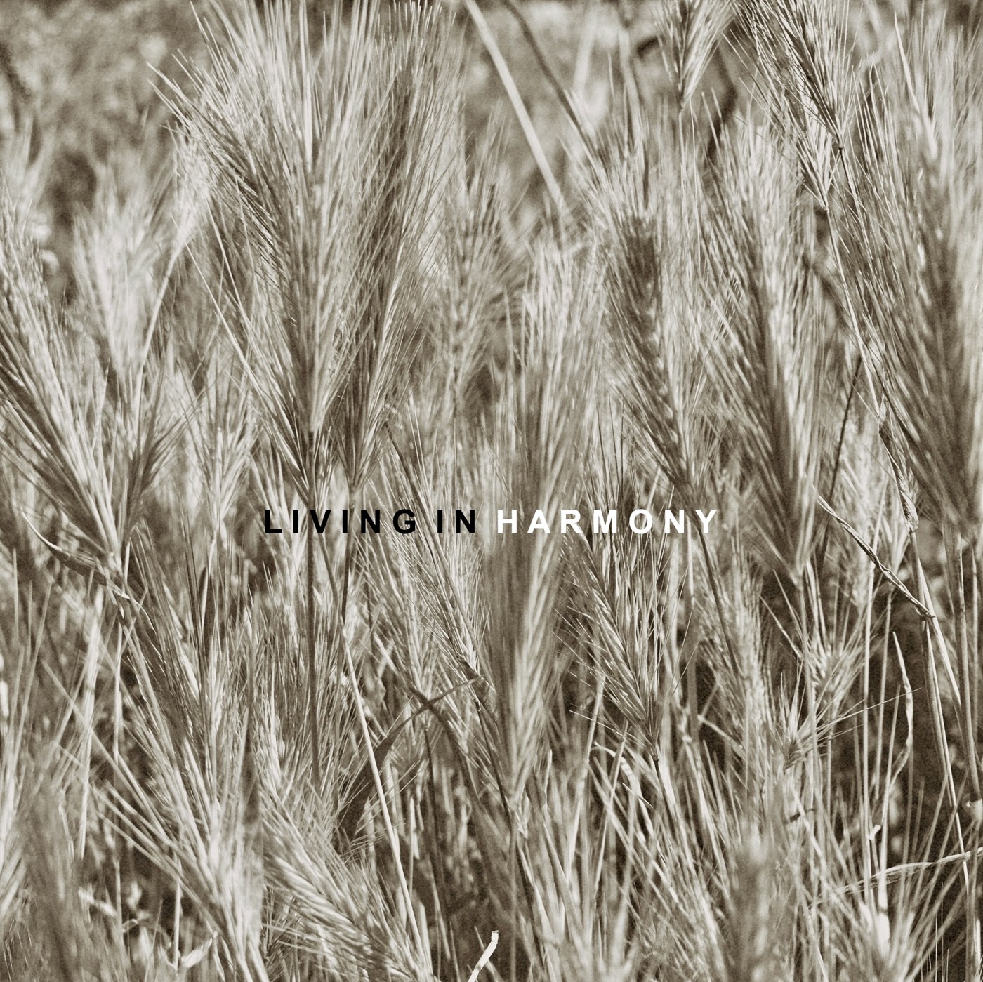 SVÖGAN - LIVING IN HARMONY (Essence) #190 episode artwork