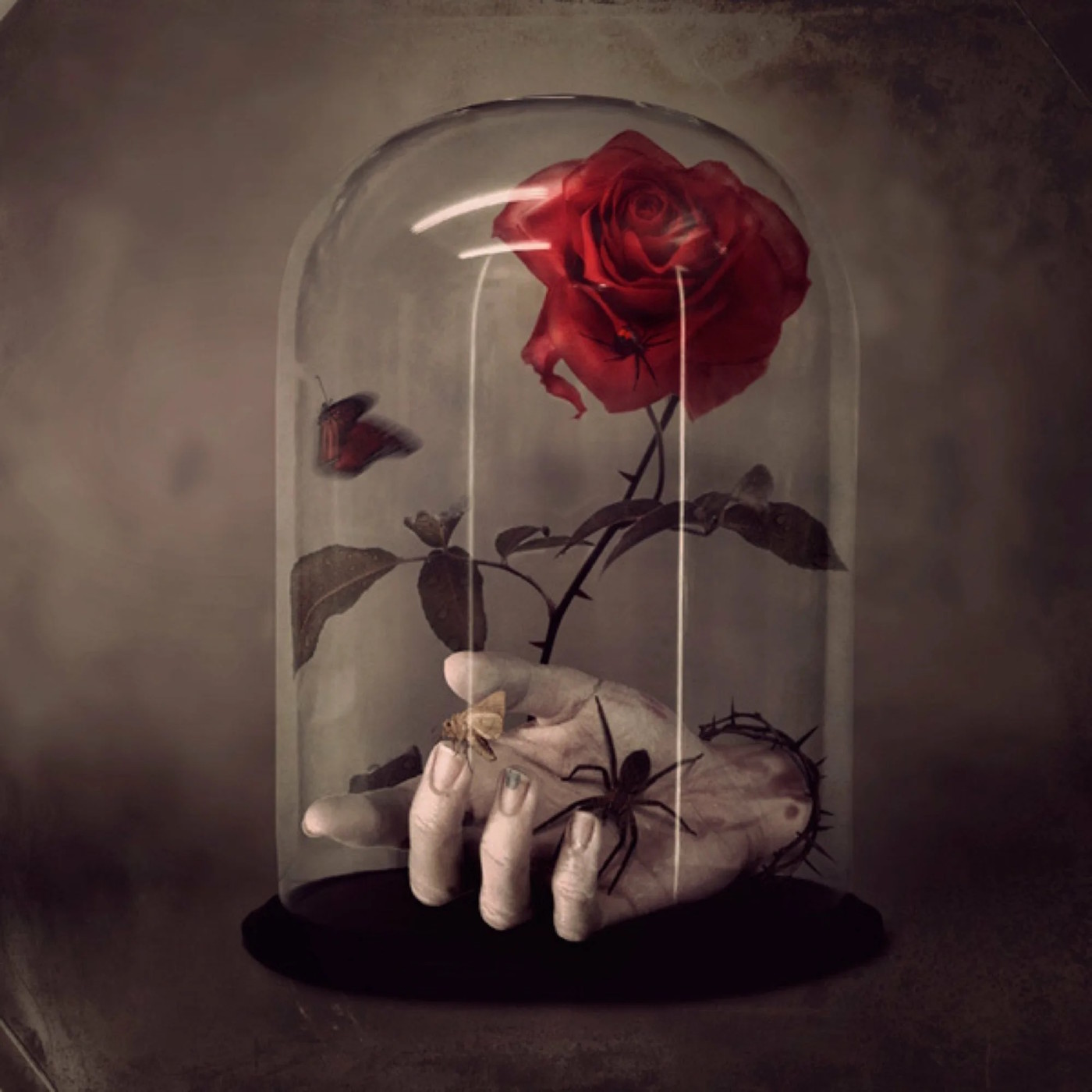 RomusD - Зачем?