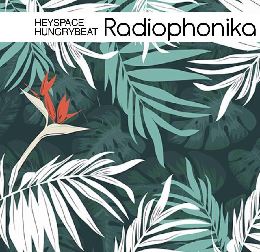 HeySpace & HungryBeat - Radiophonika #221 episode artwork