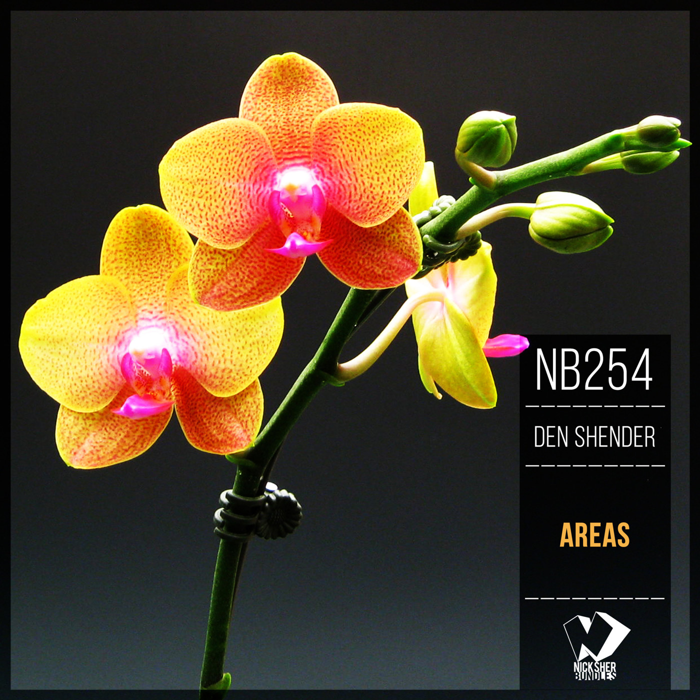 Den Shender - Kenopsia episode artwork