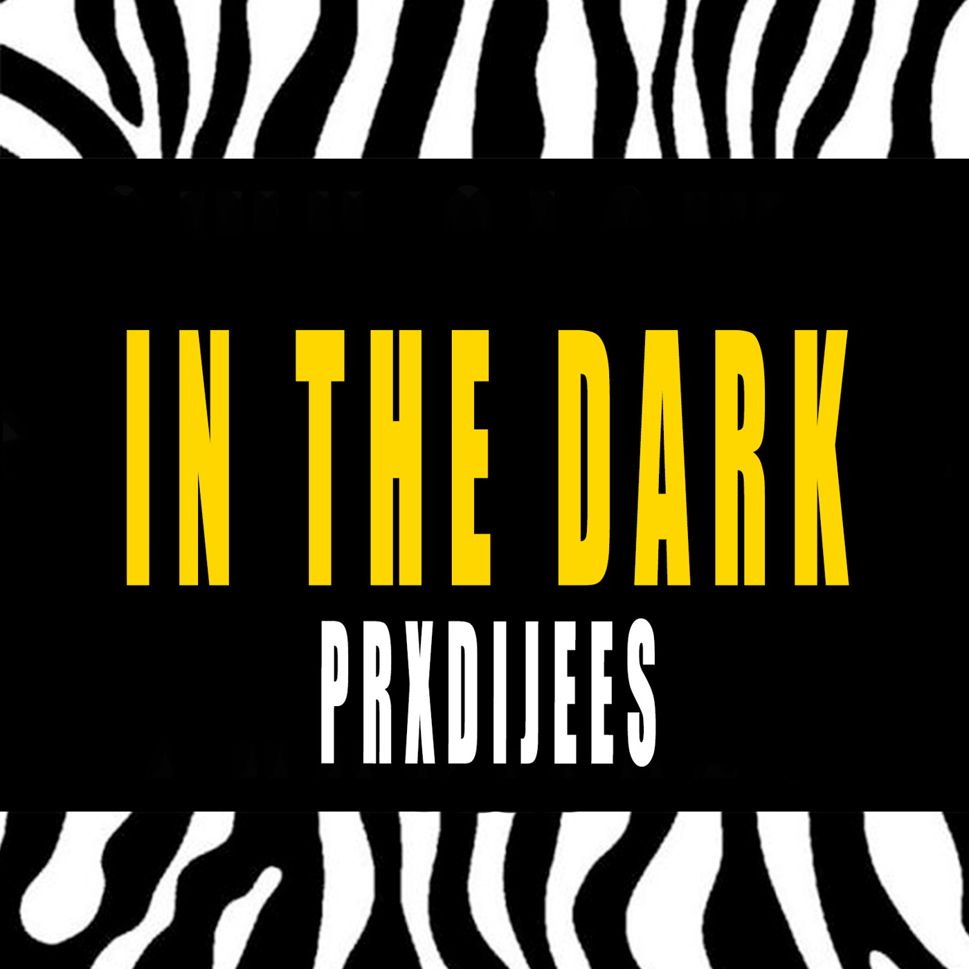 Prxdijees - IN THE DARK Prxdijees - IN THE DARK