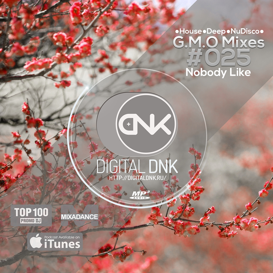 digital DNK