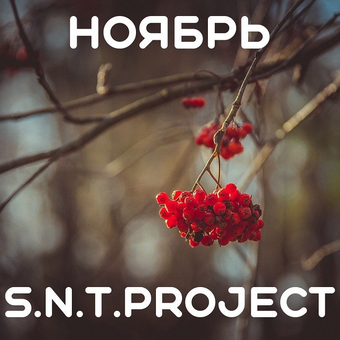 S.N.T.Project - Ноябрь episode artwork
