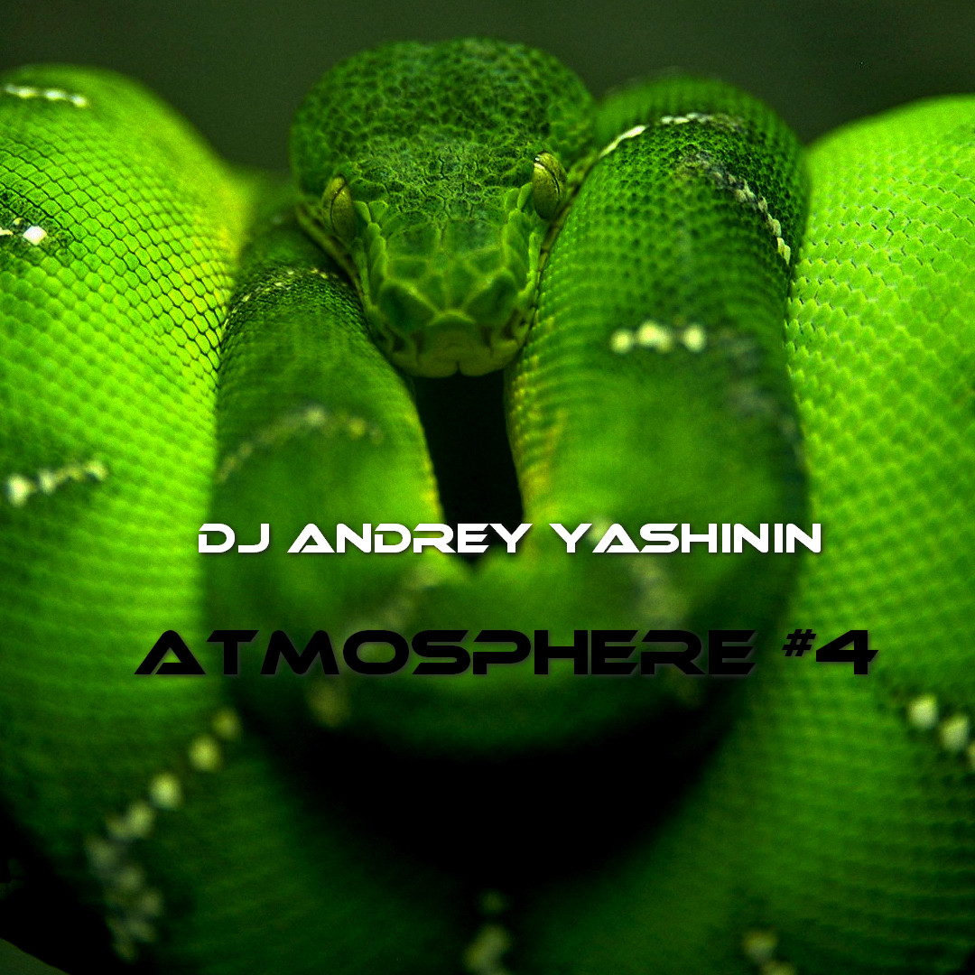 DJ Andrey Yashinin