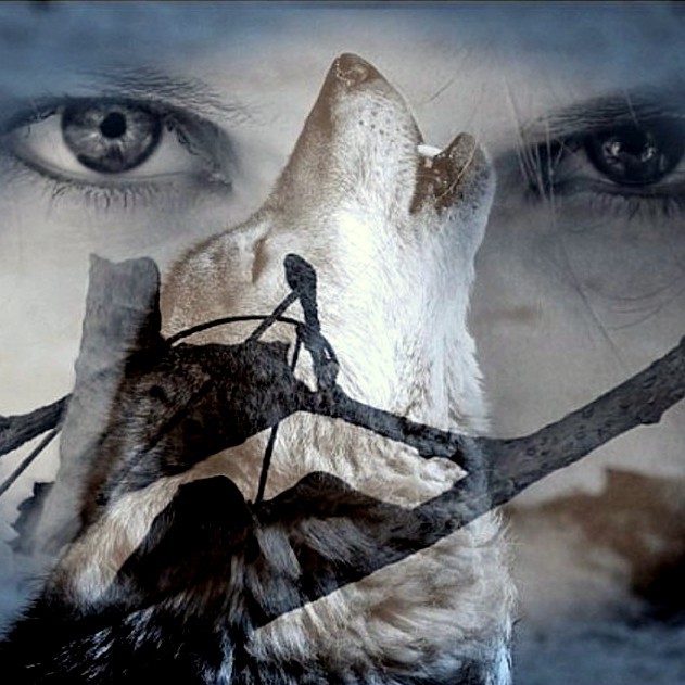 FS wolf & Milalita - Высшая Мера episode artwork
