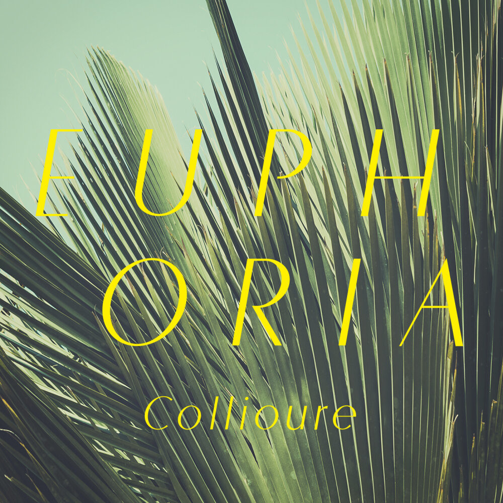 Collioure &  Lena Grig - Brand New Day episode artwork
