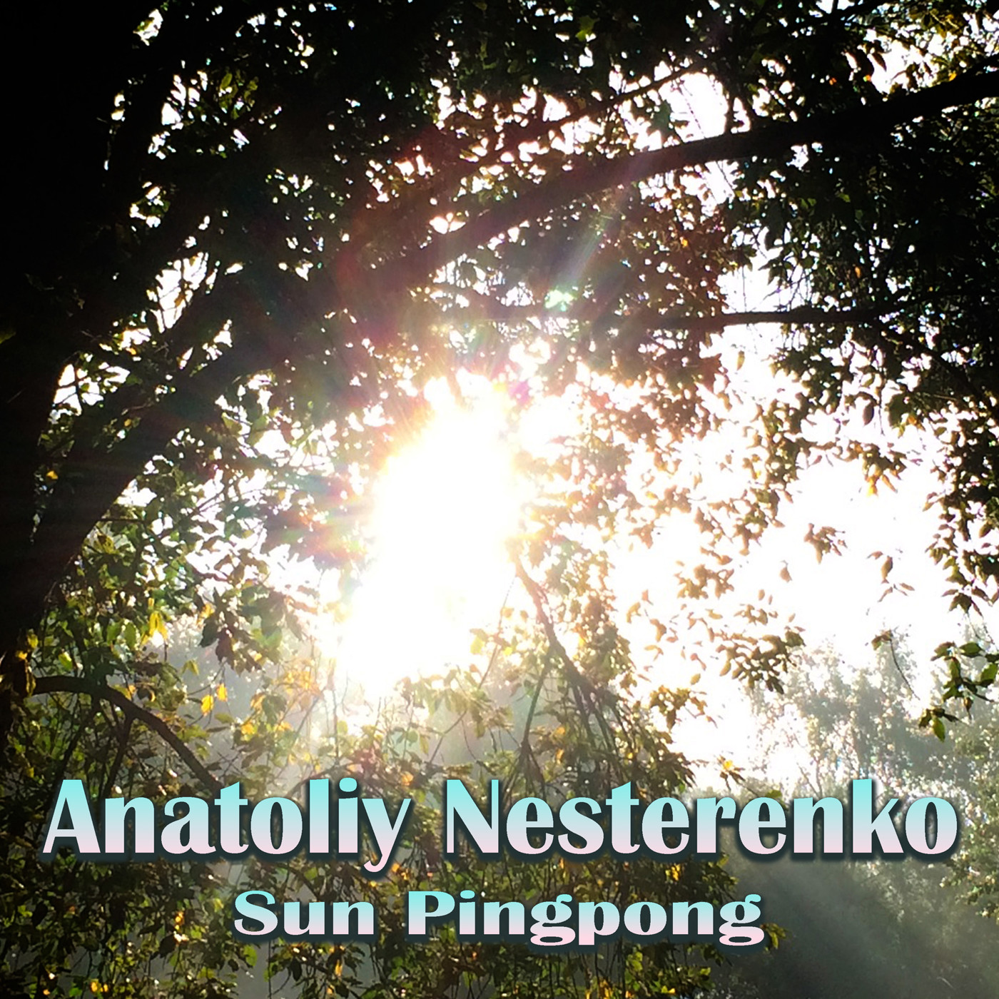 Anatoliy Nesterenko