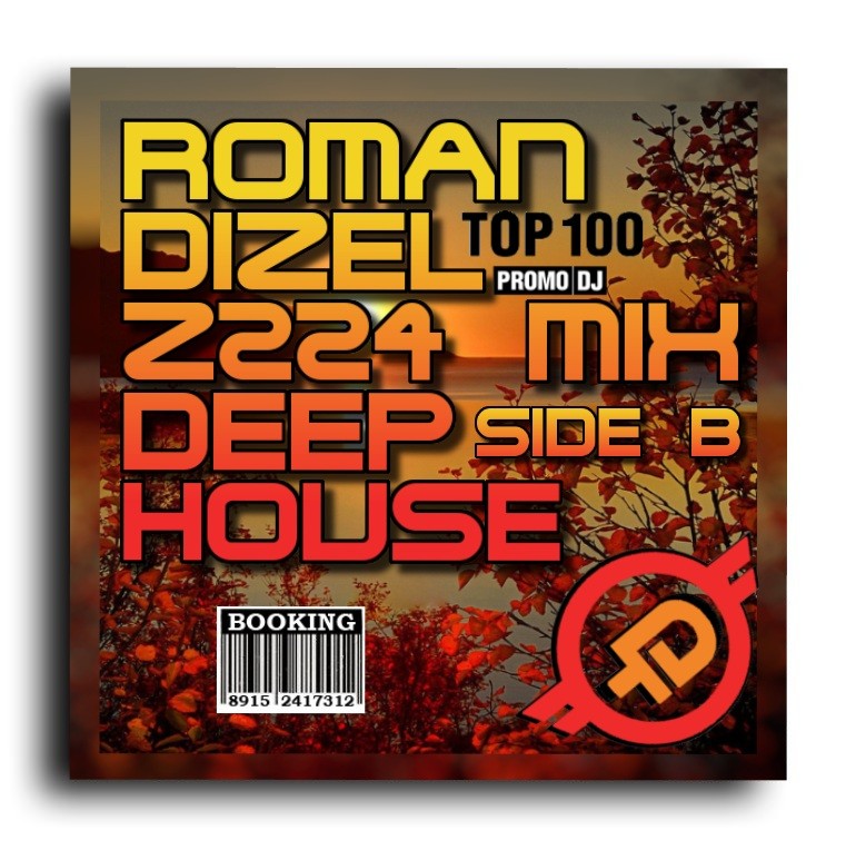 DJ ROMAN DIZEL