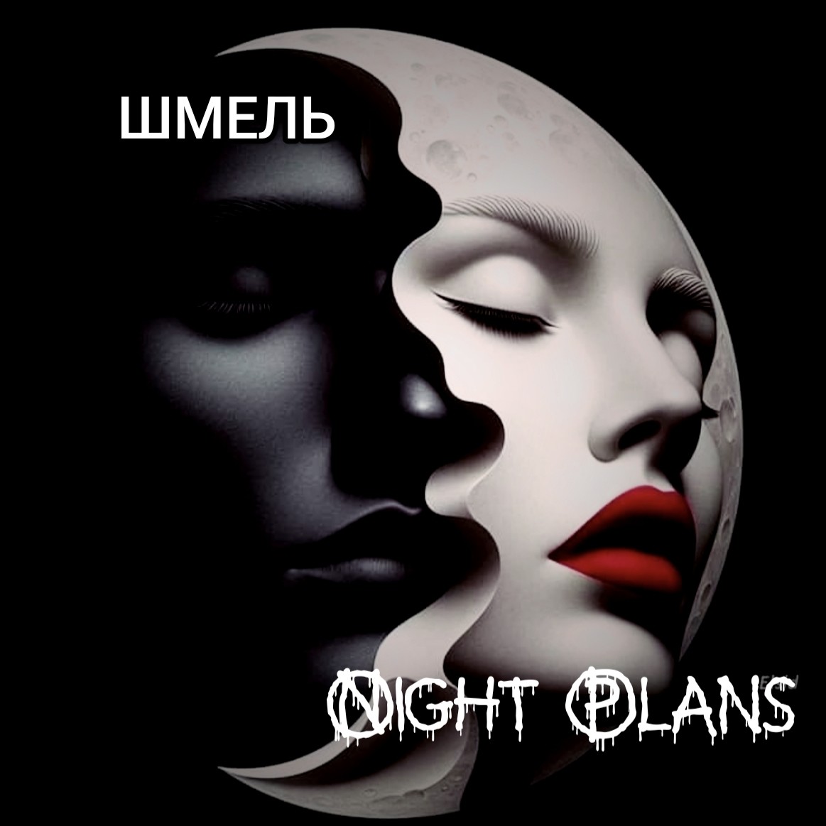 DJ Шмель - Night Plans