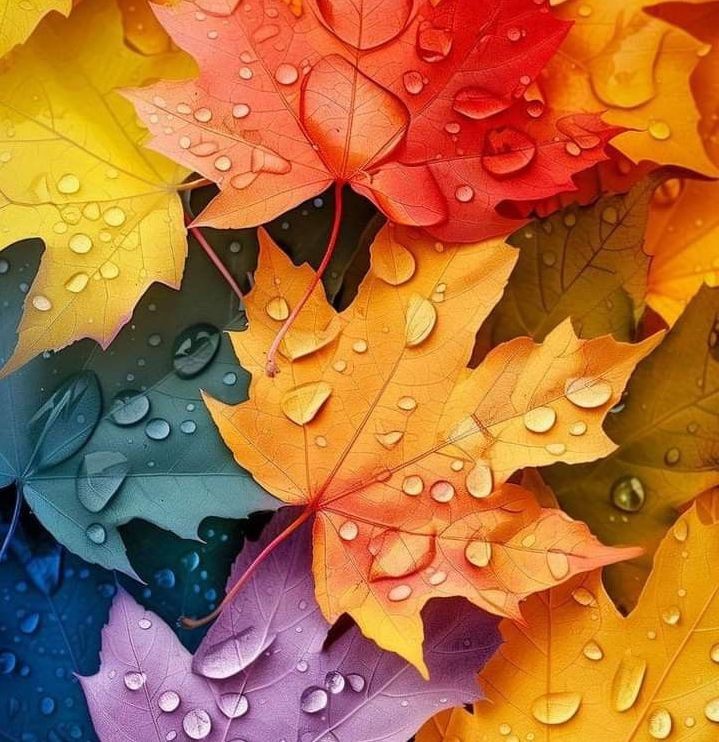 DJ ANDREY SANIN - THE LAST WARM DAYS OF OUR AUTUMN (2025)