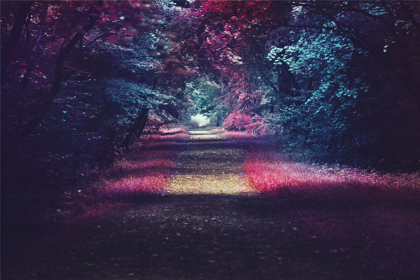 djreduktor-A quiet walk