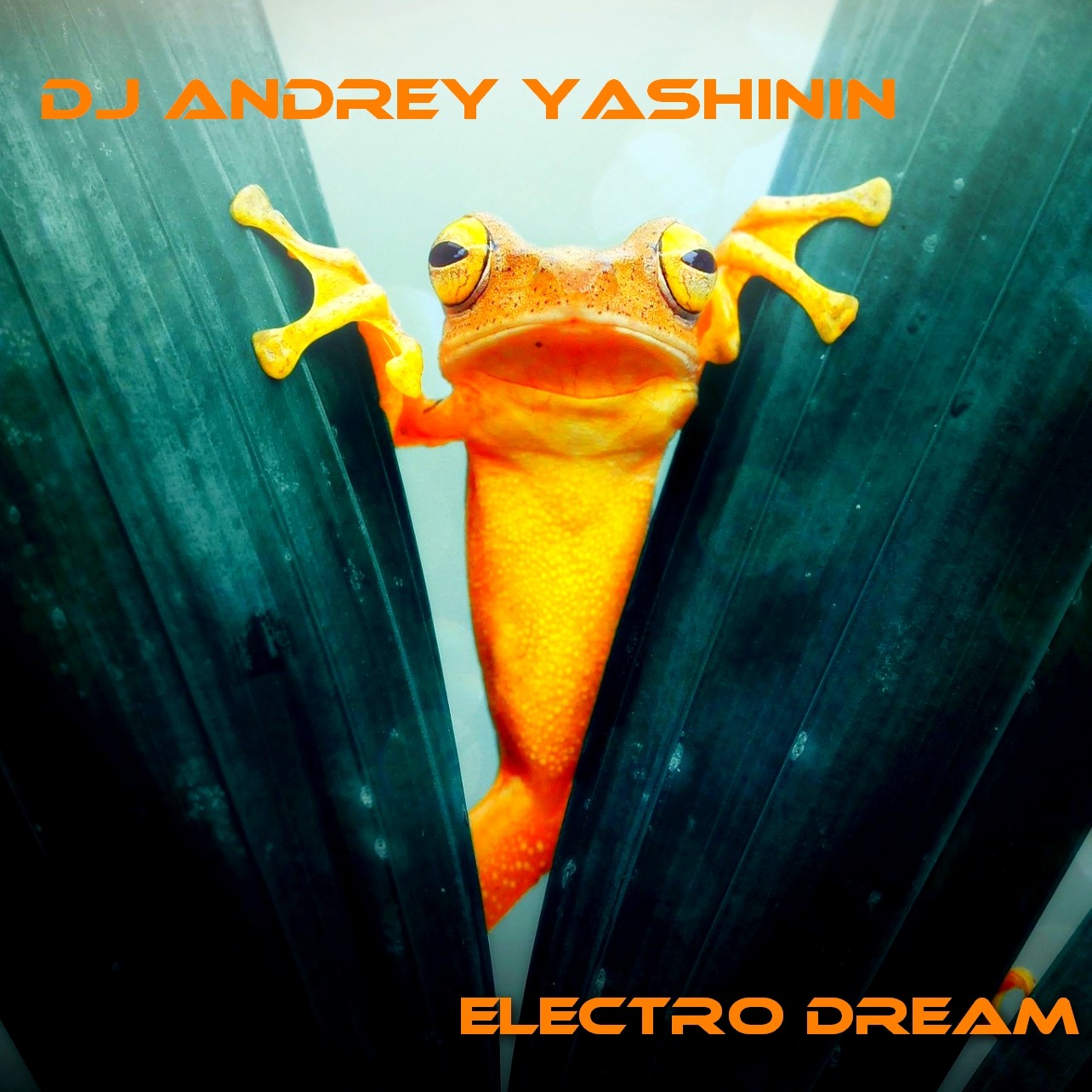 DJ Andrey Yashinin