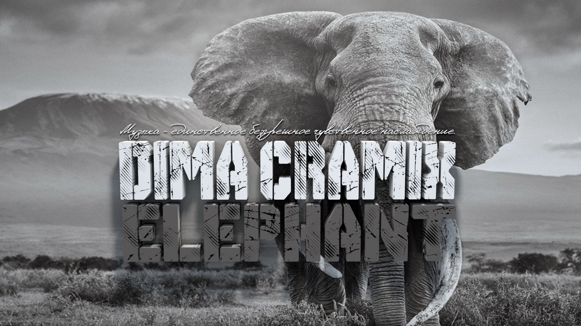Elephant remix. Dima Cramix - Elephant. Трек слоны Deep House. Sanny Lir - СТО миллионов минут. Загрузочный экран Elephant 2021.