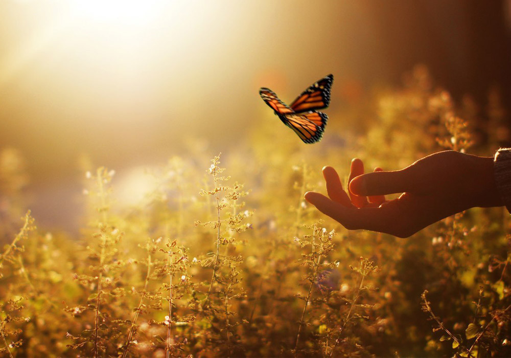 ArtVA - CHiLLGRESSiVE TiME #016 #2025