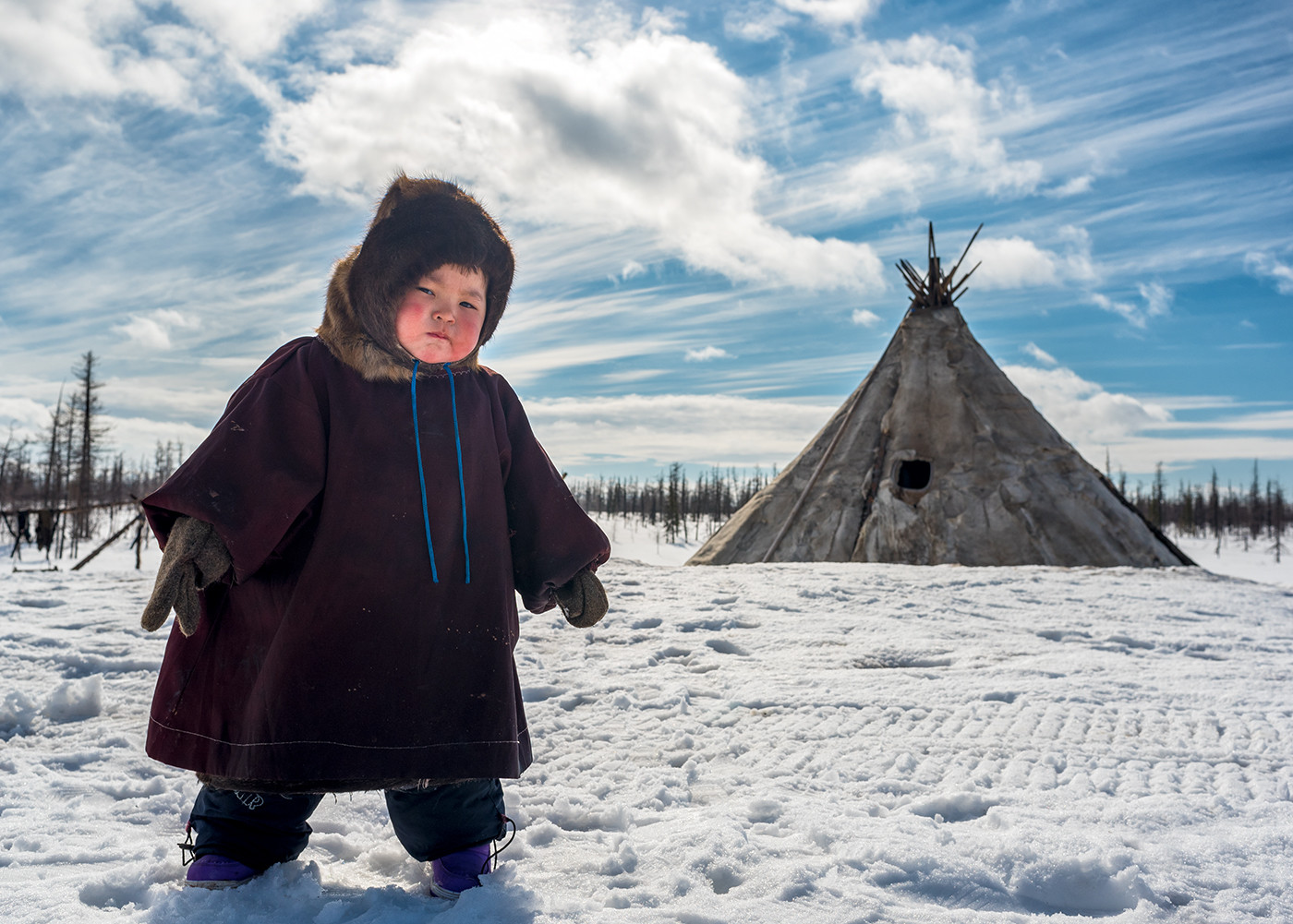 Skiper Snake - Chukchi Harp