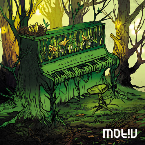 MOT!V - Wonderful Evening (Promo)