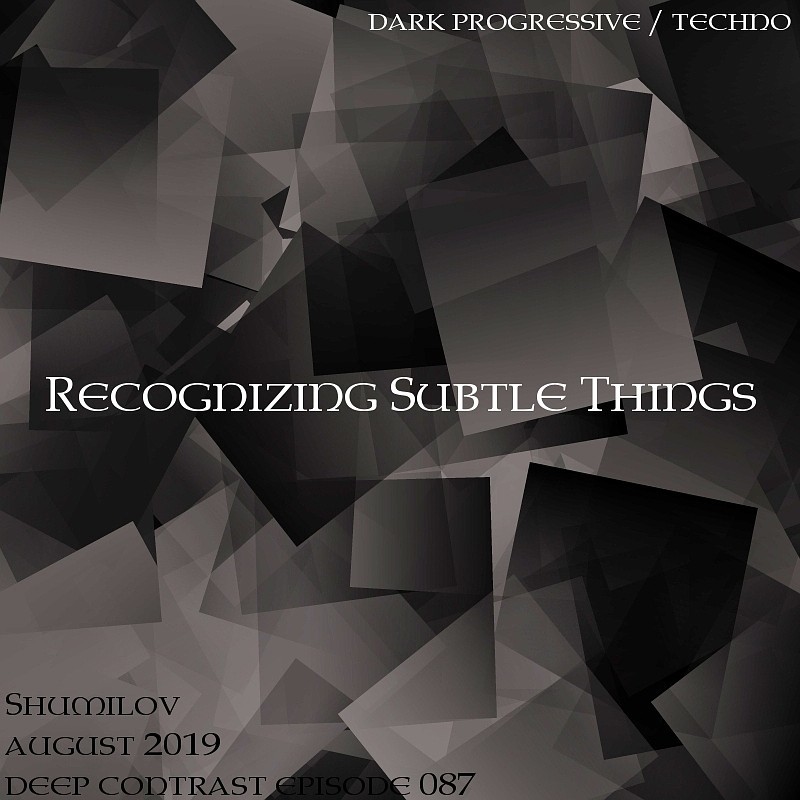 Shumilov - Deep Contrast 087 Recognizing subtle things [August 2019] episode artwork