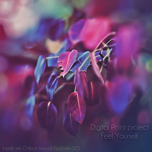 Digital Point - Feel Yourself - Episode 005