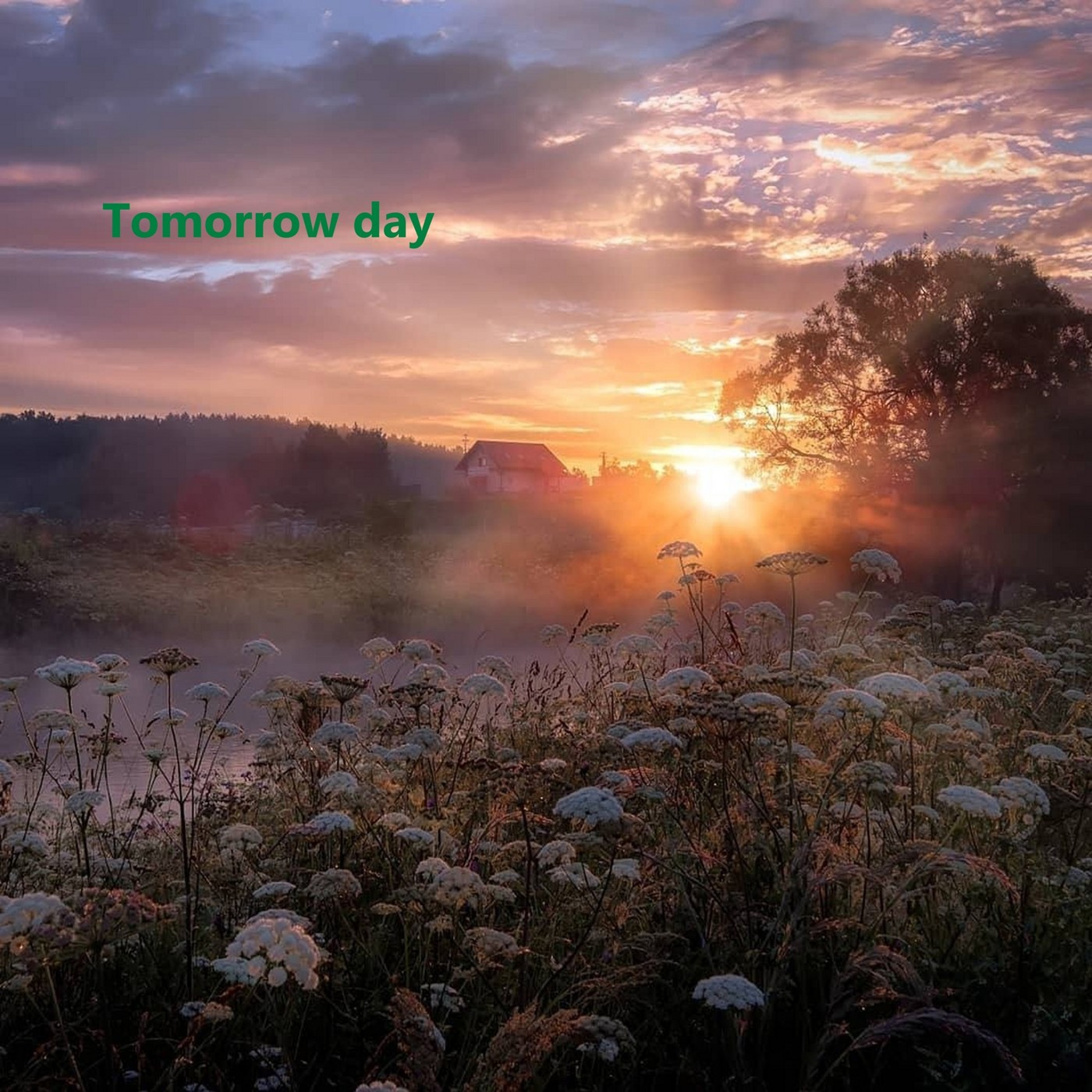 Dj ilya - Tomorrow day episode artwork