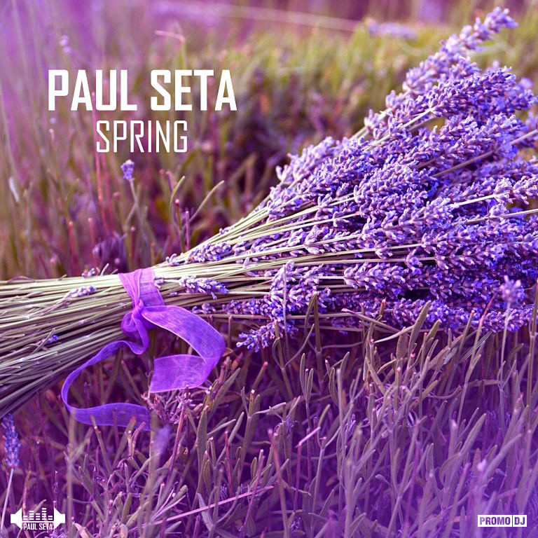 PAUL SETA - Spring episode artwork