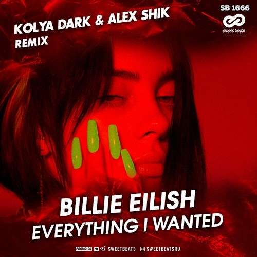 Billie Eilish - Everything I Wanted (Kolya Dark & Alex Shik Remix)